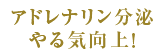 アドレナリン分泌 やる気向上！