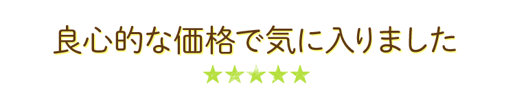 良心的な価格で気に入りました