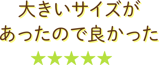 大きいサイズがあったので良かった